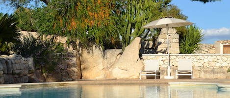 The Shared Garden and Pool Area