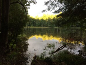 Lake Coma - View from Covered Bridge (picnic are)