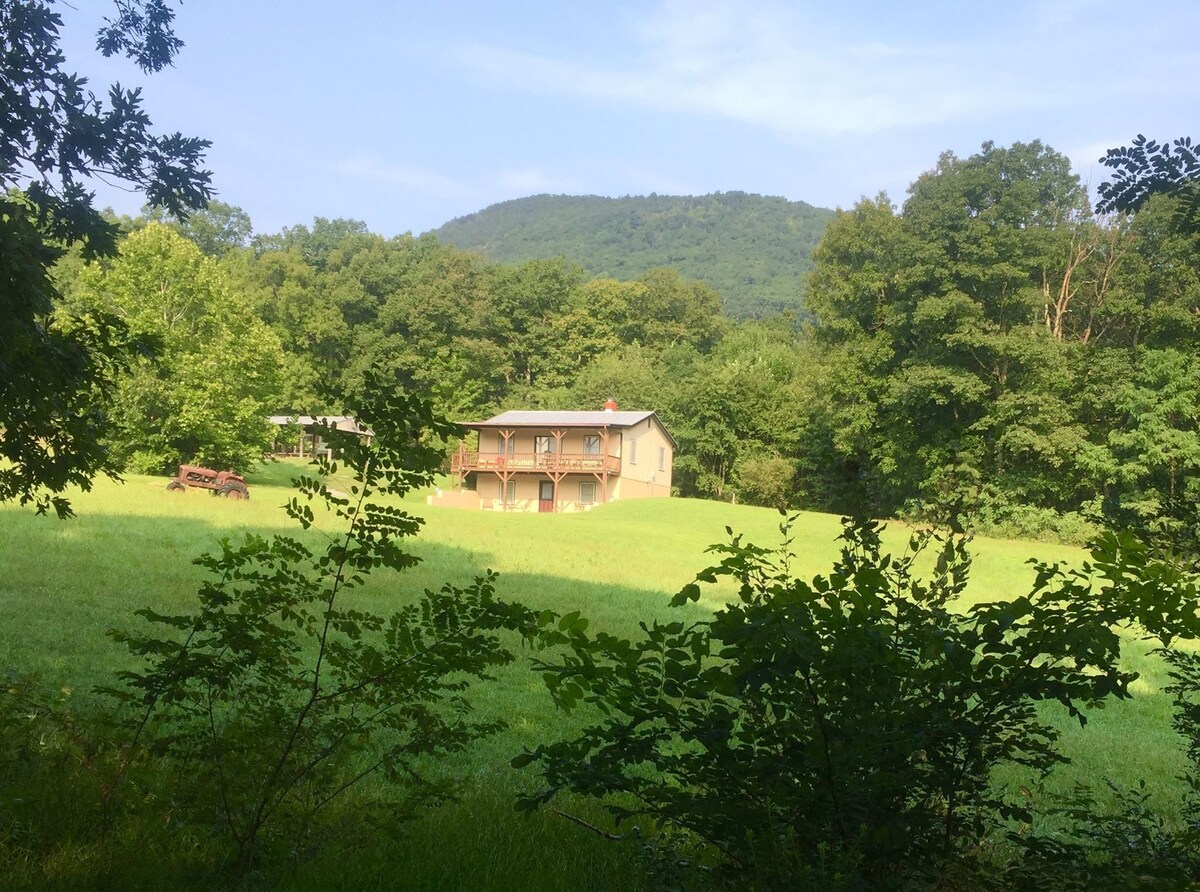 Main Image