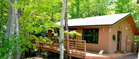 The cabin is in a private setting in the woods and dog friendly!  