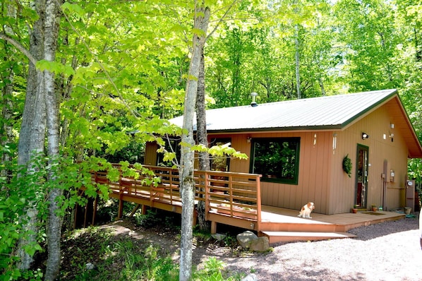 The cabin is in a private setting in the woods and dog friendly!