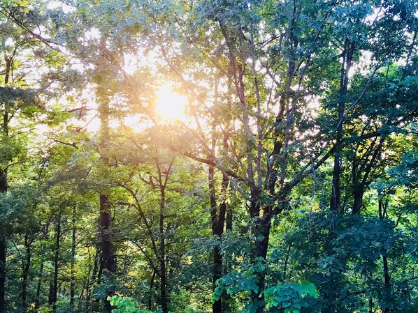 Morning sunshine view from deck