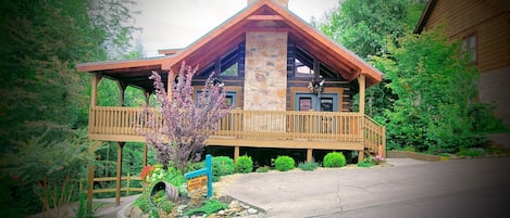 SACRED MOUNTAIN CABIN
Mountain Shadows Resort 
316 Brown Wren way 
Gatlinburg