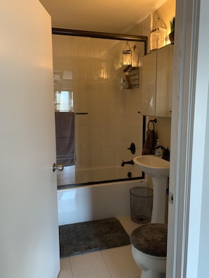 Bathroom main floor.