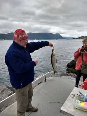 Fiske