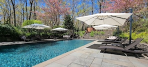 Pool Chaise Lounges with Market umbrellas
