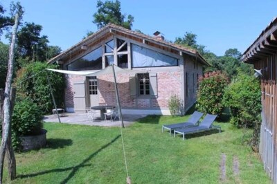 Typical regional house, fully and tastefully renovated with old bricks and beams, very sunny surrounded by old trees & vinyards, close to huge beaches & golf courses.