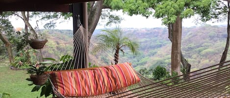 The hammock is probably the best spot in the house 