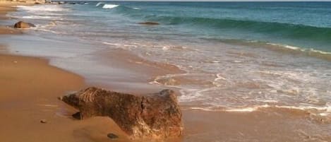 Walk to the beach and Clay Head Nature trails.