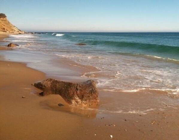 Walk to the beach and Clay Head Nature trails.