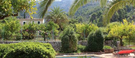 View from the pool looking towards the Tramontana Mountains