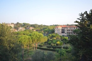 Garden, Park