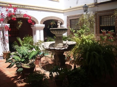LUXURY APARTEMENT IN THE HISTORIC CENTER OF CORDOBA.PRIVATE PARKING