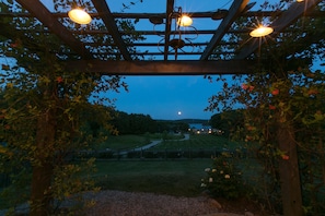 Looking down from the patio of the cottage to the flower fields and drying barn