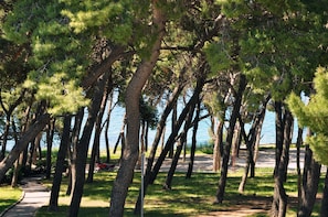 enjoy the view on pine tree park below the seaside apartment  Bacvice  in Split