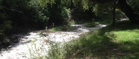 Looking upstream on Riverbank...get your fishing pole!