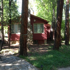 View of Cabin from River