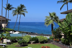 Lush tropical foliage decorate the landscape.
"Photo take from our Lanai"