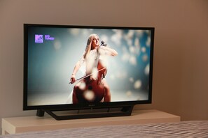 Television