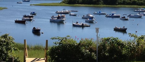 View from the Backyard.  Private Stairway down to Ocean Harbor, Little Mill Pond