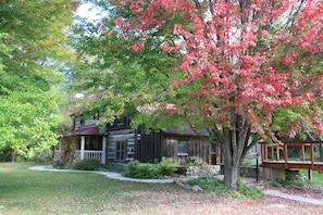 Enjoy Clear Creek Cabin in the fall. Brilliant autumn colors in the wooded hills