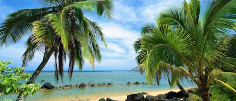 Beautiful Anini Beach 10-15min hike via path behind Paniolo - Beautiful Anini Beach 10-15min hike via path behind Paniolo
