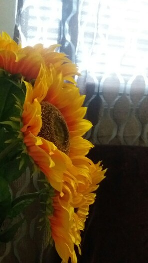 Sun Fun...Sun Flower