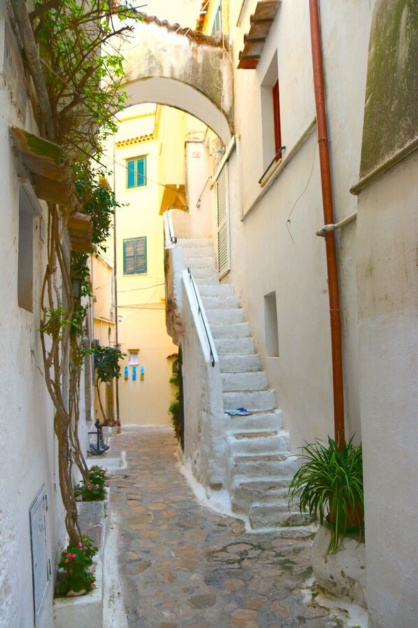 the ladder to the entrance