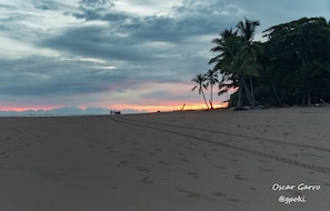 Strand