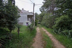 external view