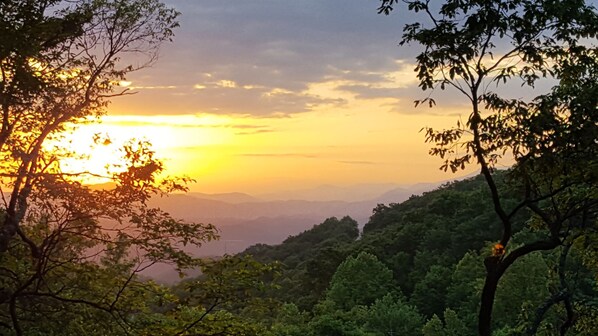 Sunrise. Every morning from the deck! 
