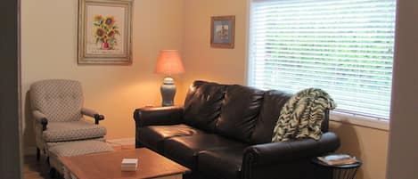 Living room with convertible queen couch