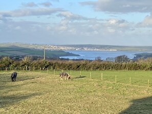 The view from the lounge towards Padstow & Rock