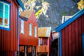 Exteriör