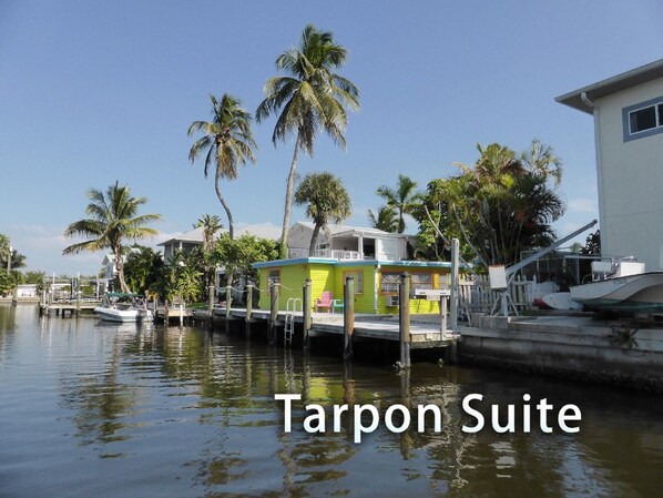 Tarpon Suite