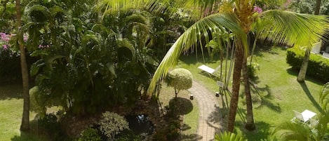 View of gardens and water feature from our lanai.