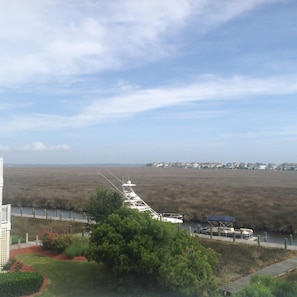 Awesome views! 55 ft dock space behind the home