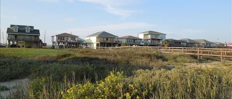 View from beach to beach houses: beautiful wild flowers and grass  are preserved