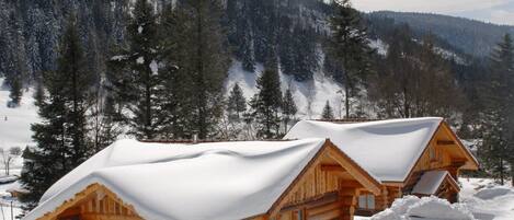 Hameau chalet en rondin hiver neige LA BRESSE Vosges