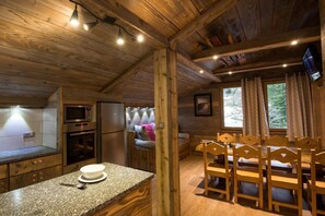 Salon séjour cuisine appartements en bois montagne La Bresse