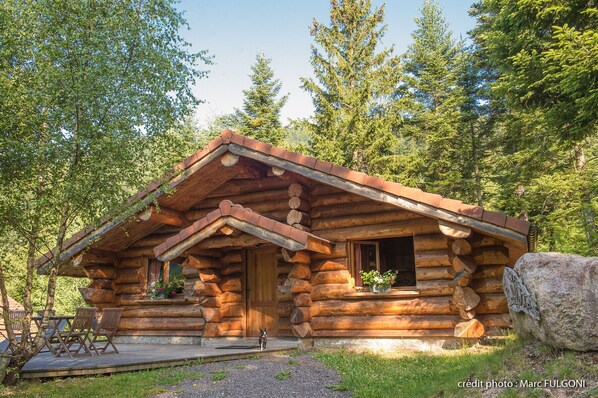 Chalet en rondin à louer La Bresse Vosges