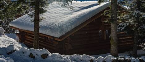 Location Chalet en rondins séminaire groupe famille hiver neige Vosges