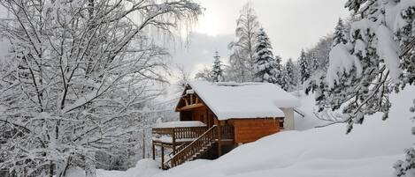 Chalet traditionnel + neige Vosges