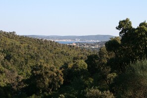 Oklassificerad bild, 2 av 50, knapp