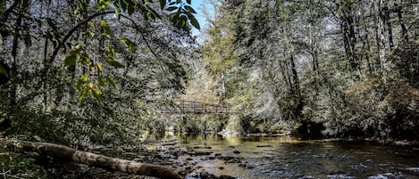 Terrain de l’hébergement 