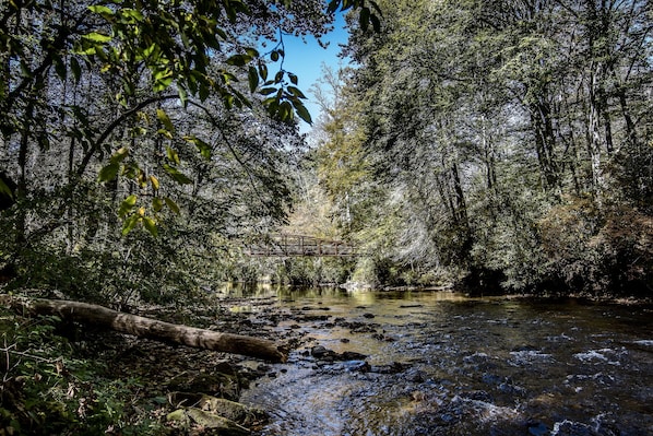 Davidson River View 