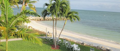 Our lawn and private beach looking East