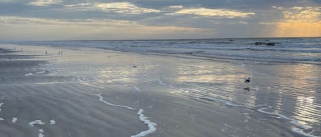 Beautiful beach near house 