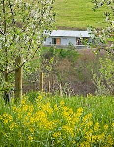 Newly Renovated Former Cider House near wineries,Blue Ridge Parkway and Floyd, V