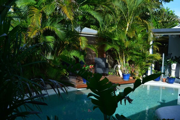  The Oasis 